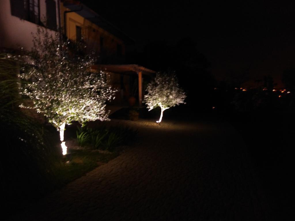 ブラガ Quinta Do Senhorヴィラ エクステリア 写真